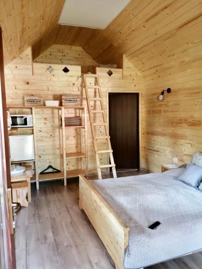 Domeniul Horj Casa Din Deal モイセイ エクステリア 写真