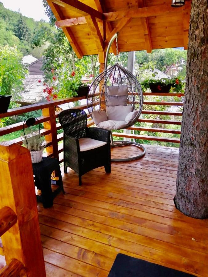 Domeniul Horj Casa Din Deal モイセイ エクステリア 写真
