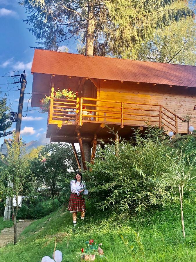 Domeniul Horj Casa Din Deal モイセイ エクステリア 写真