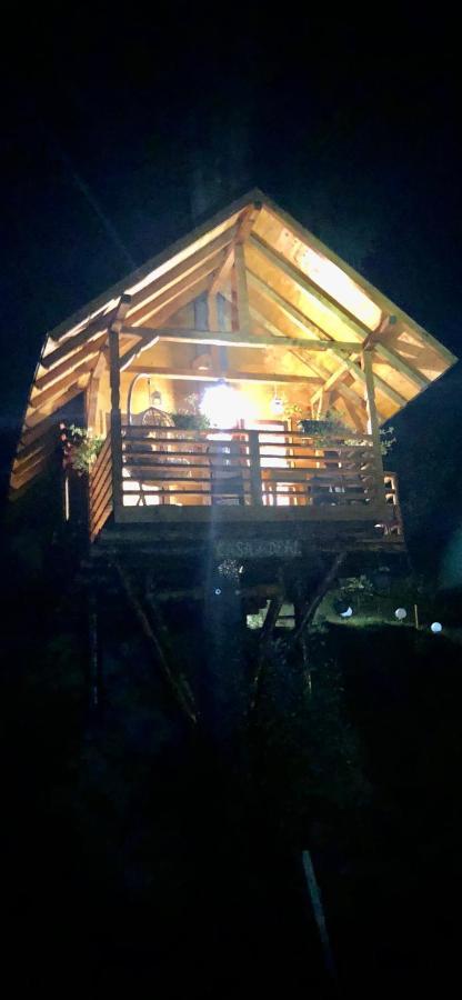 Domeniul Horj Casa Din Deal モイセイ エクステリア 写真