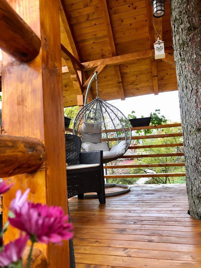 Domeniul Horj Casa Din Deal モイセイ エクステリア 写真