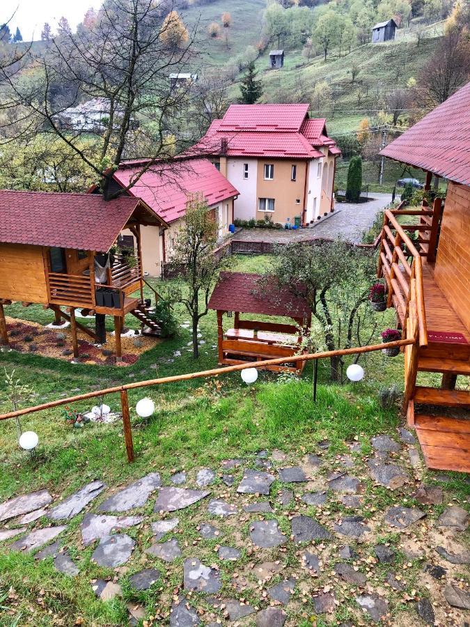 Domeniul Horj Casa Din Deal モイセイ エクステリア 写真