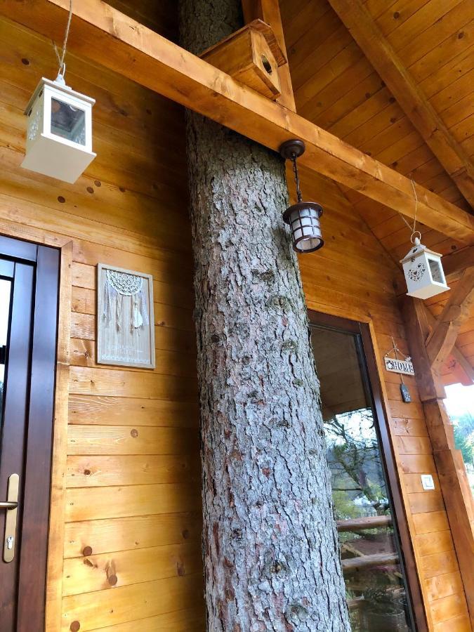 Domeniul Horj Casa Din Deal モイセイ エクステリア 写真