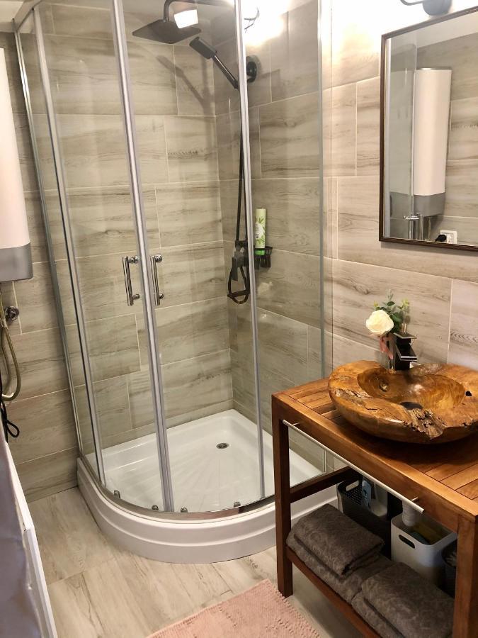 Domeniul Horj Casa Din Deal モイセイ エクステリア 写真